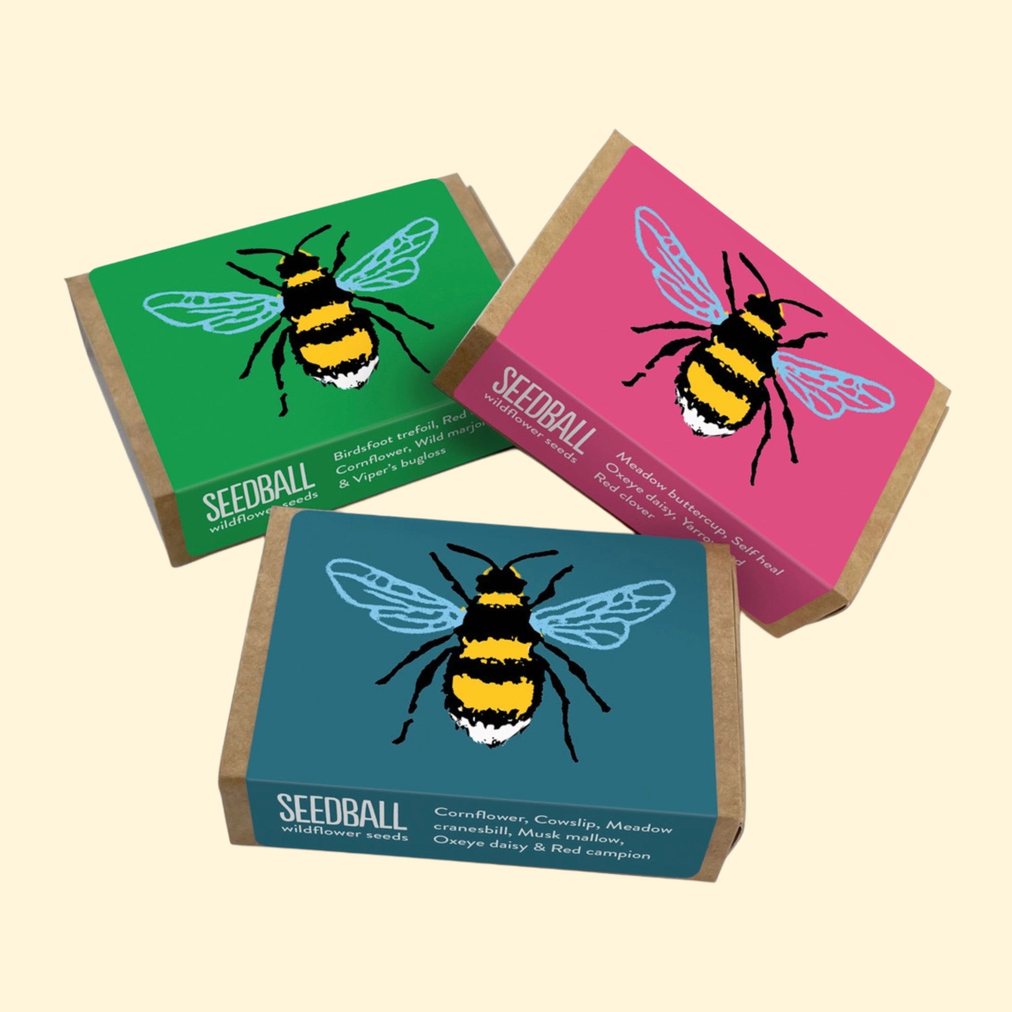 Seed Boxes (Individual)