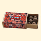 Seed Boxes (Individual)