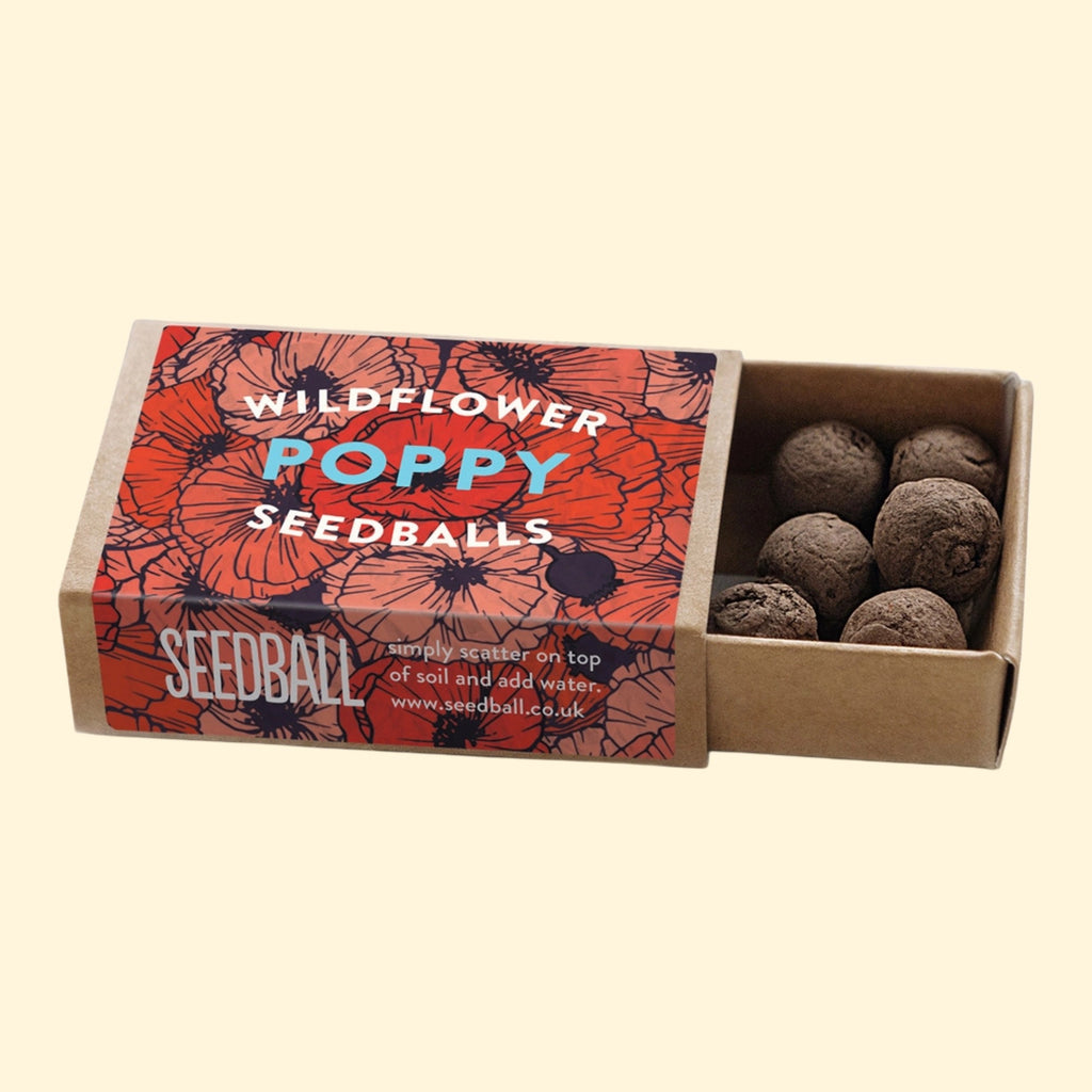 Seed Boxes (Individual)