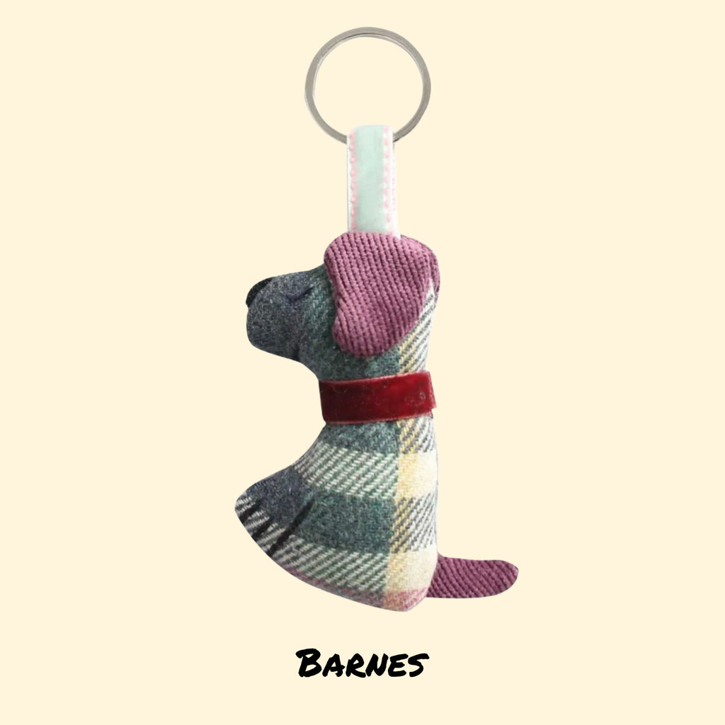 Earth Squared Dog Tweed Key Ring (Various Colours)
