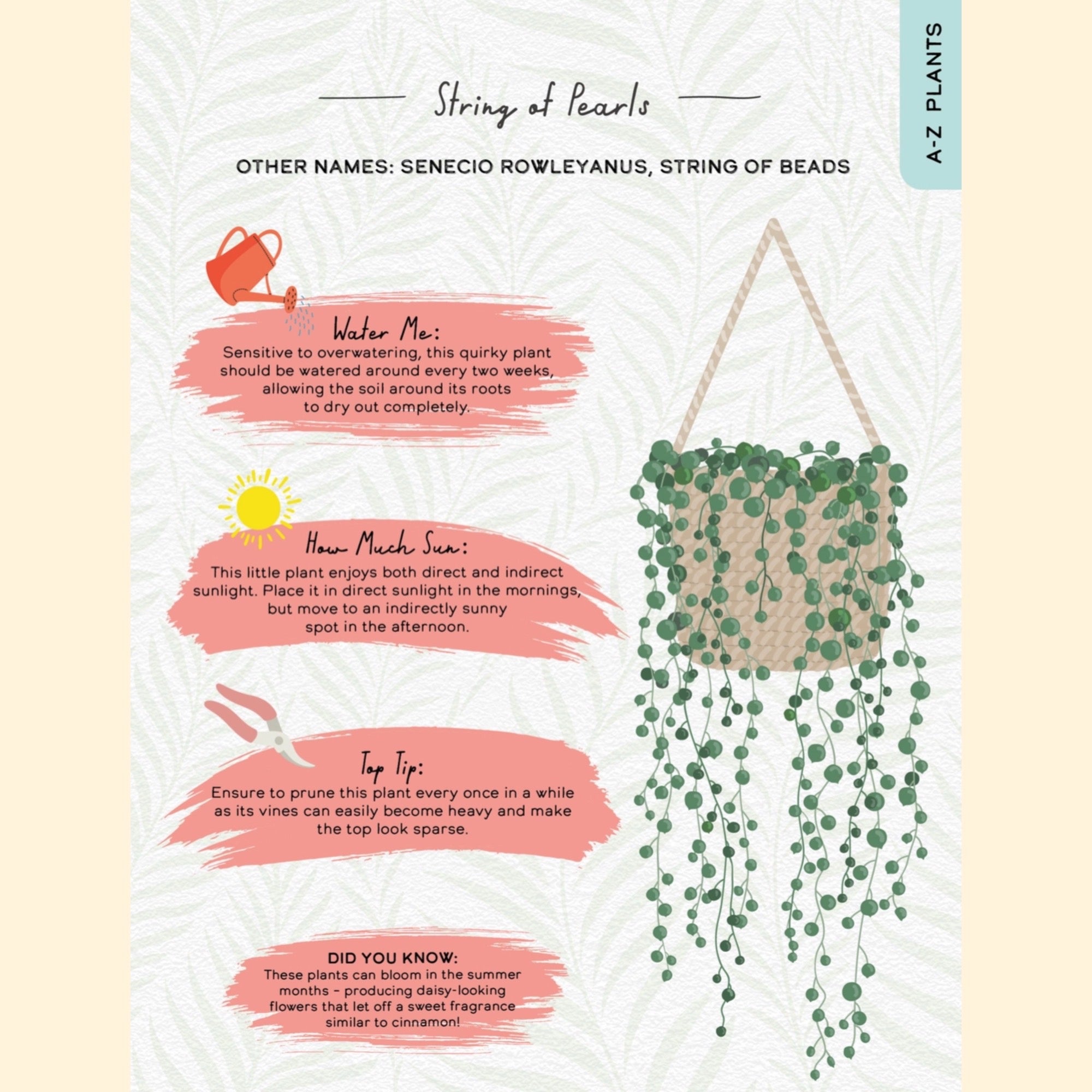 Please Don't Die - House Plants Guidebook