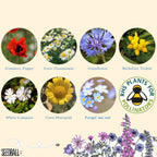 Make Your Own Seedball Kit - Flowers For Bees