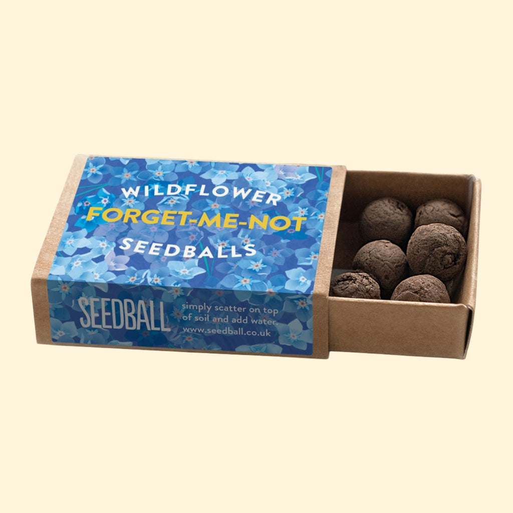 Seed Boxes (Individual)