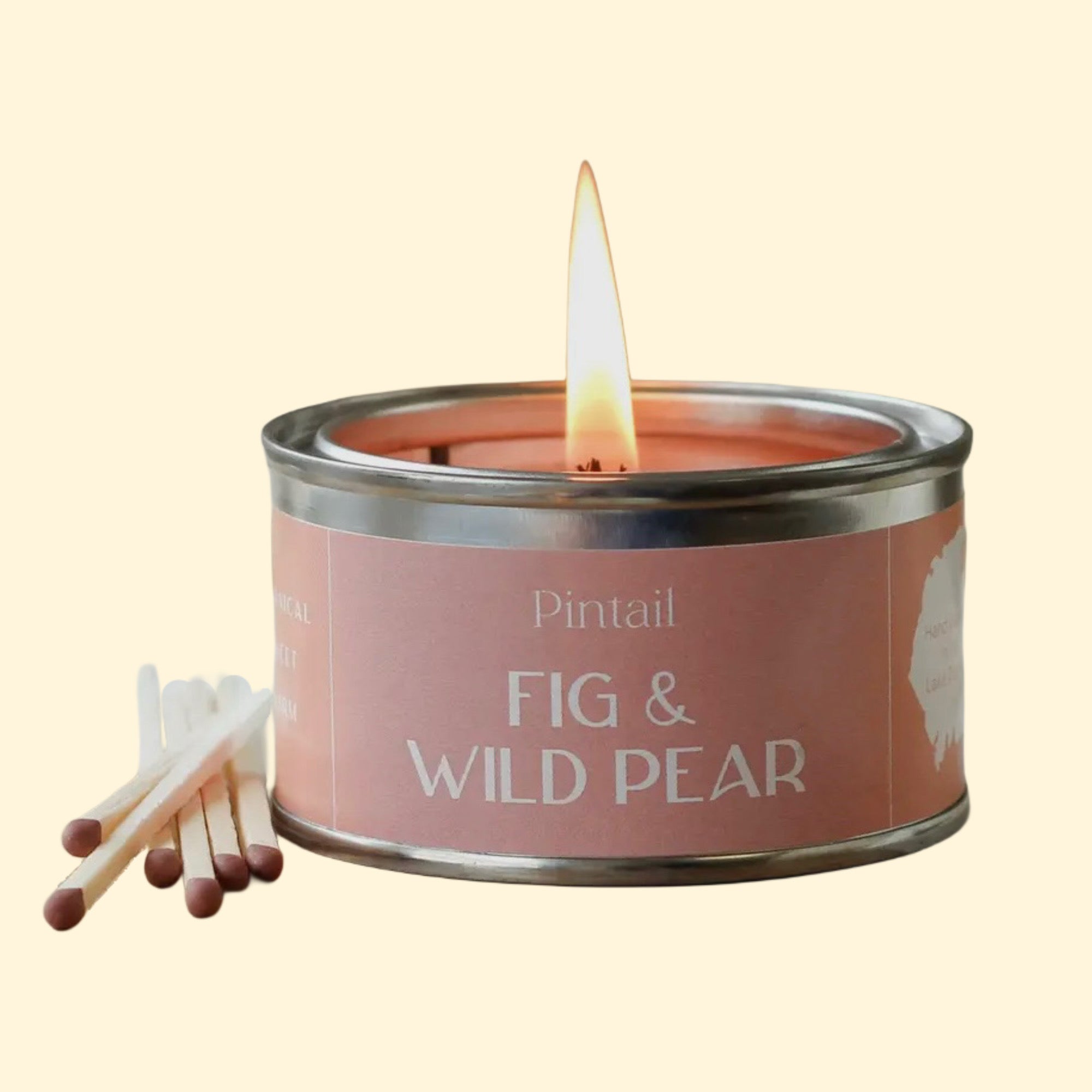 Fig & Wild Pear Paint Pot Candle