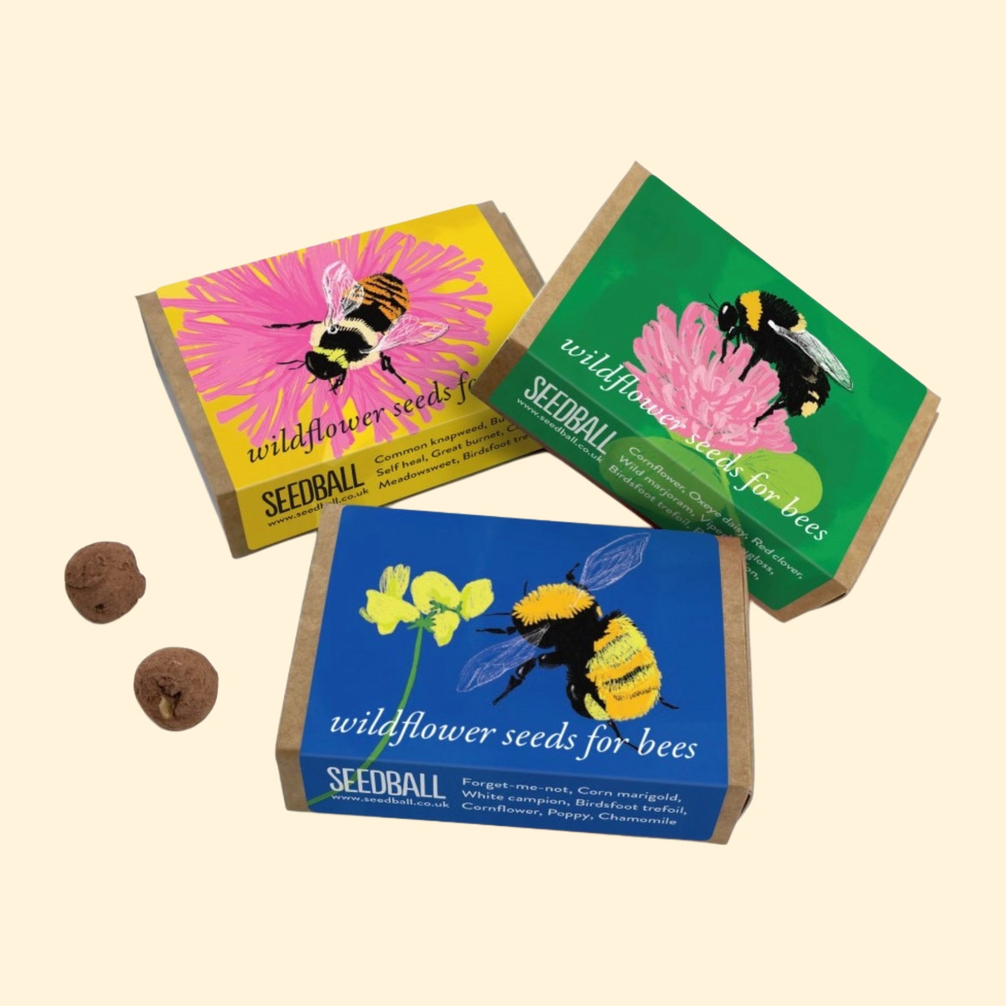 Seed Boxes (Individual)