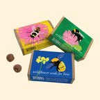 Seed Boxes (Individual)