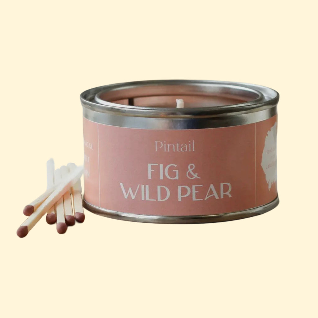 Fig & Wild Pear Paint Pot Candle