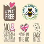 Make Your Own Seedball Kit - Flowers For Bees