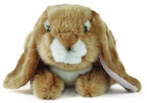 Dutch Lop Rabbit Plush - Brown