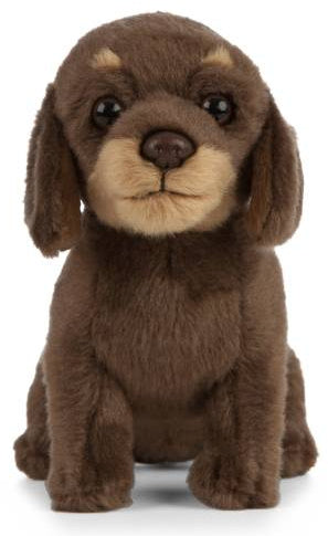 Dachshund Plush