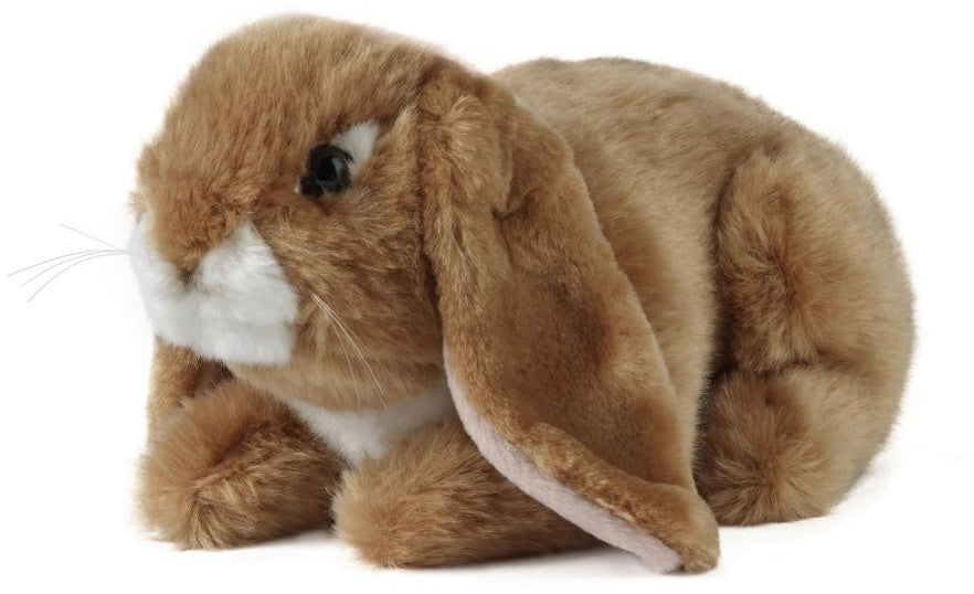 Dutch Lop Rabbit Plush - Brown