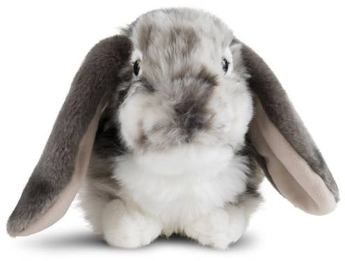 Dutch Lop Rabbit Plush - Grey