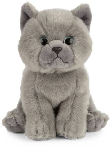 Grey Kitten Plush