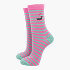 Women's Socks - Sausage Dog Stripe